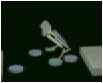 roboduck