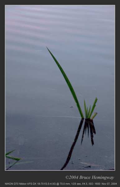 Greenlake042