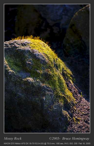 Mossy