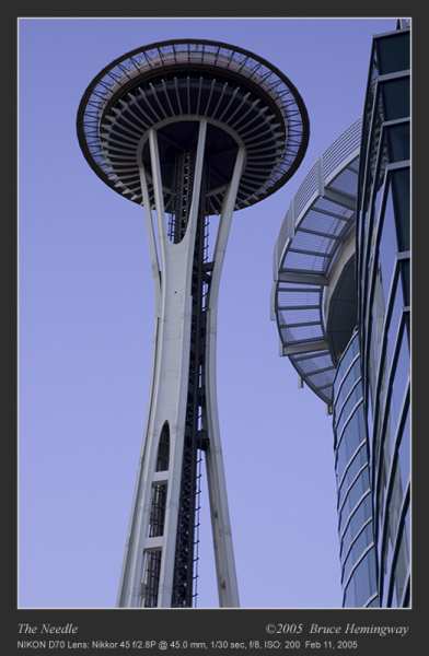 Needle