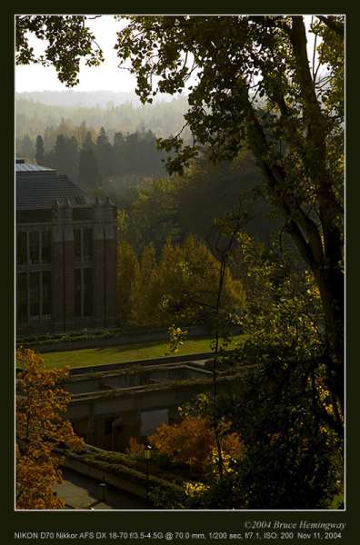 fall