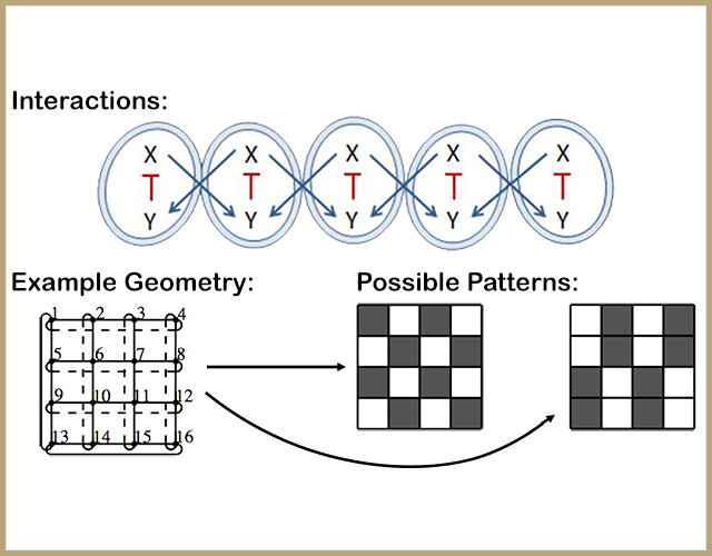 Top: a row of cells in contact, where signal X promotes signal Y in neighboring cells and signal Y inhibits signal X within the same cell. Bottom: an example geometry of a 4-by-4 grid of cells could produce patterns such as a checkerboard (cells alternate between high and low) or semi-striped (vertical groups of two alternate between high and low).