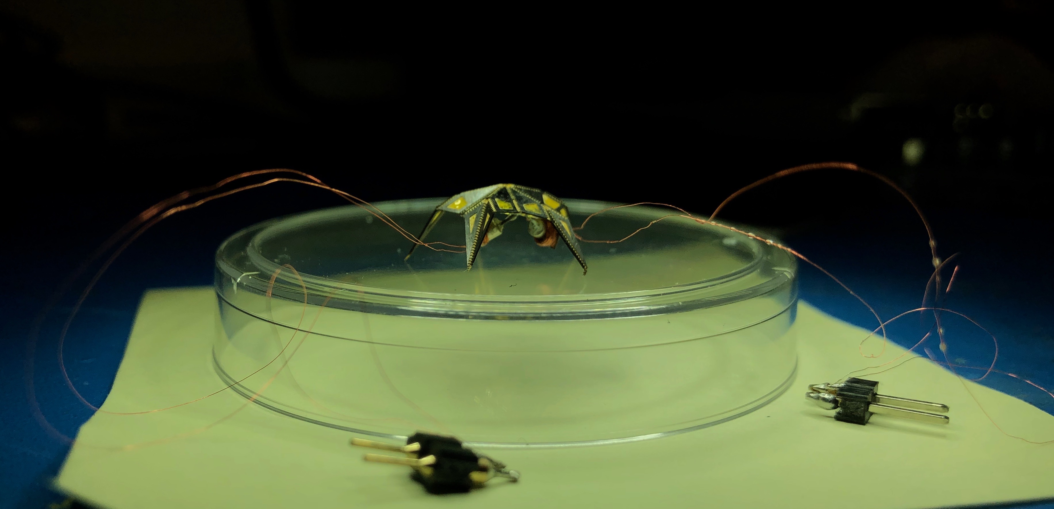 Leaf-out micro-hopper thumbnail