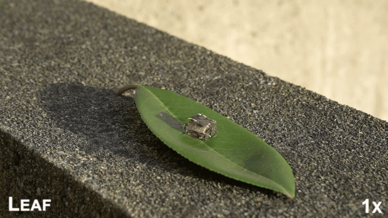 Video for Battery-free Computer Vision on Insect-scale Microrobots