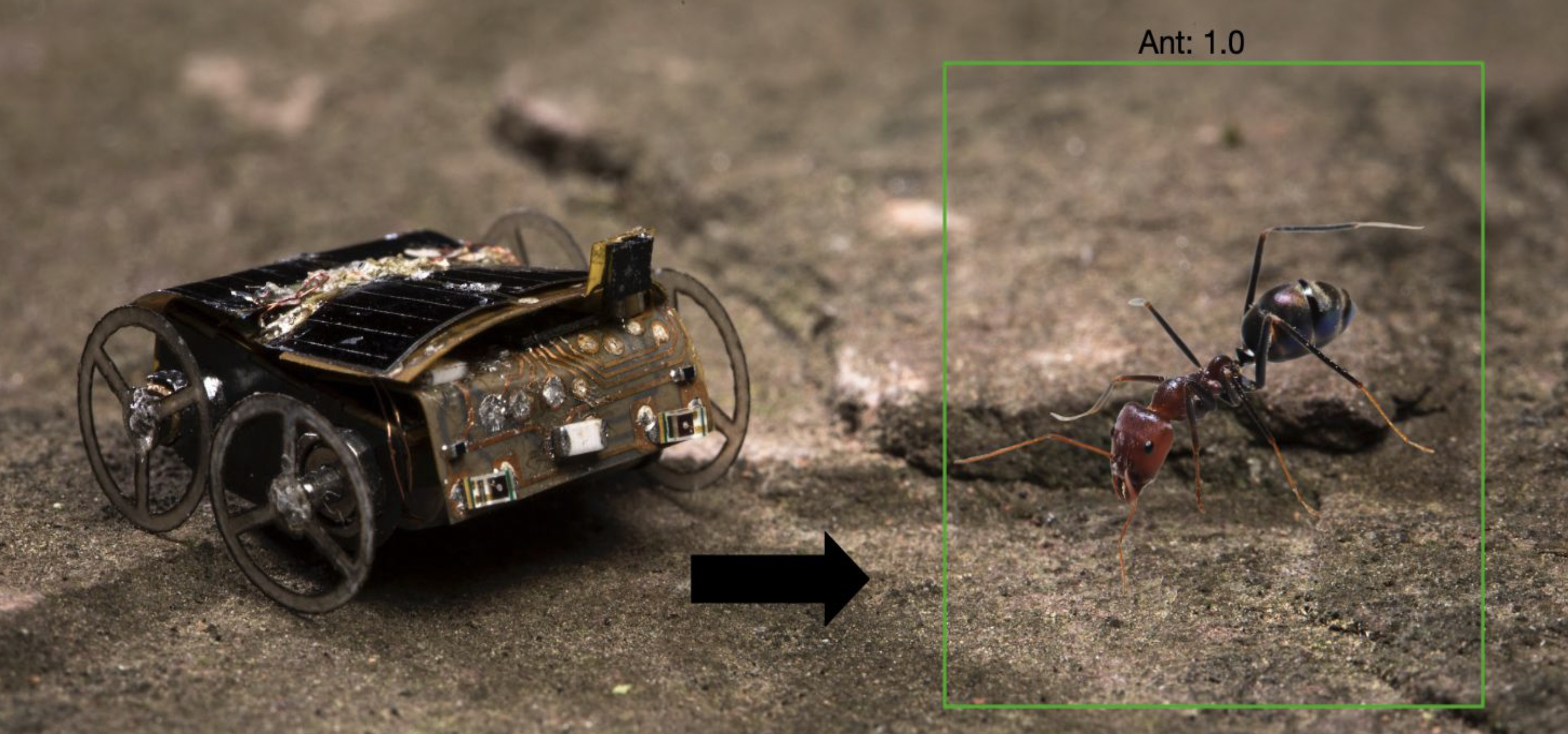 Teaser for Battery-free Computer Vision on Insect-scale Microrobots