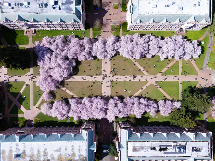 DJI_20250403144332_0149_D (1).jpg