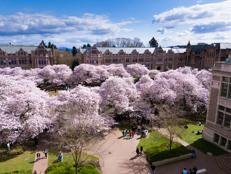 DJI_20250403144806_0157_D.jpg