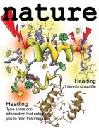 foldit nature cover submission